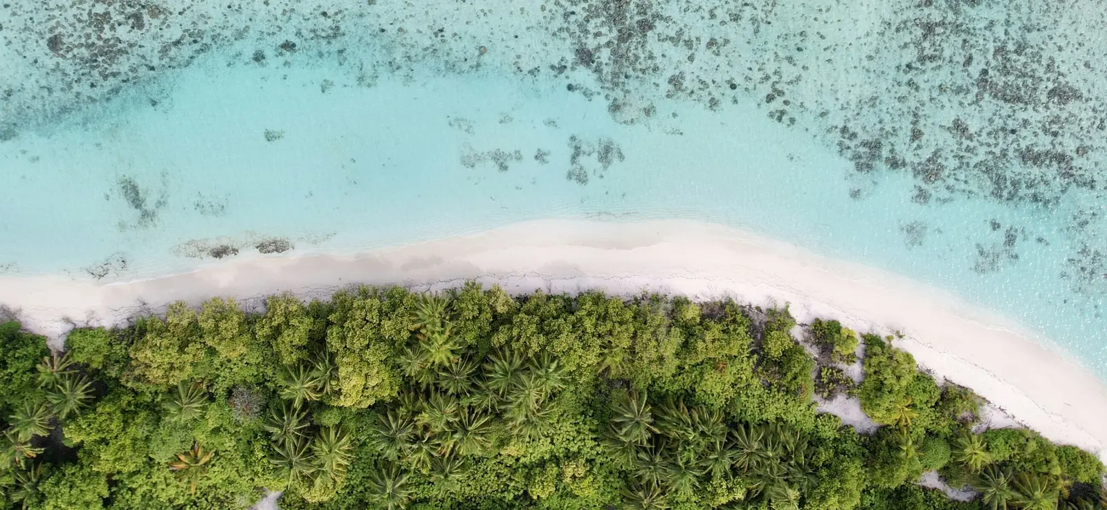 A tropical island and its reef seen from the air